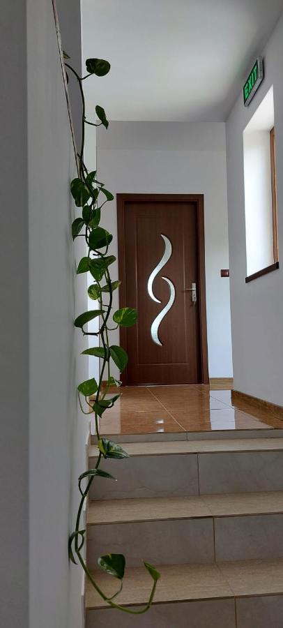 Agropensiunea Olteanu Niculitel Exterior photo