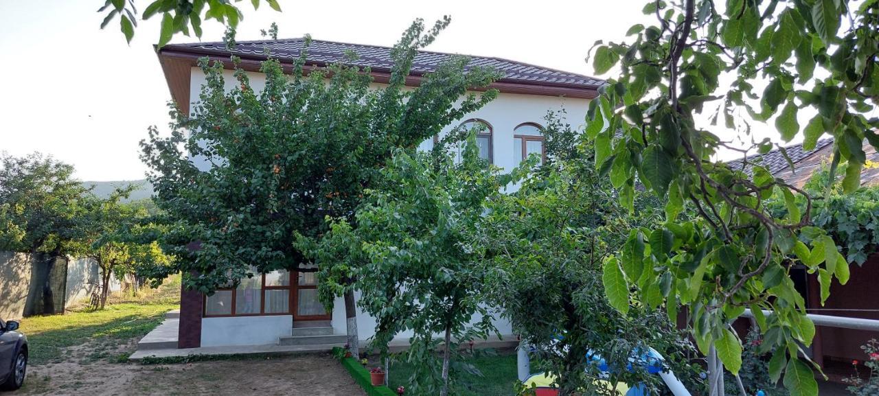 Agropensiunea Olteanu Niculitel Exterior photo